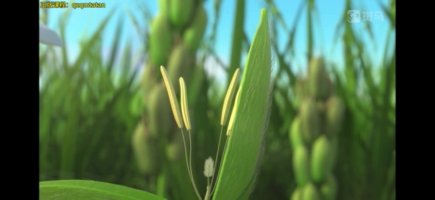 斑马百科：改变世界的20大发明