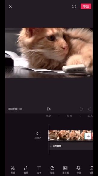 余成抖音同城运营实战课：实体店引