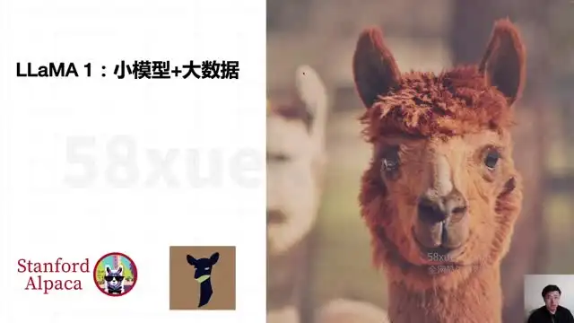 《AI大模型微调实战：8周掌握前沿技术，深度应用开发指南》