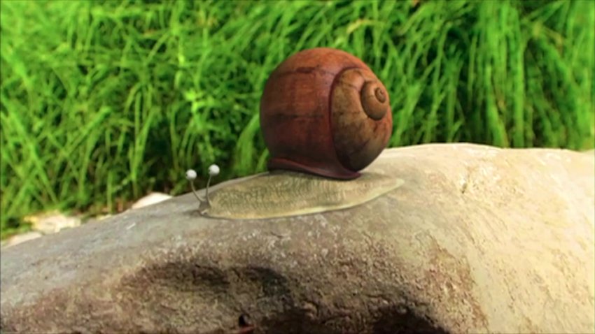 昆虫总动员全集177集1080P超清动画