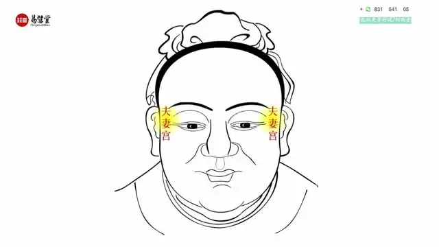 邹庆亲授：忙碌者面相学快速入门