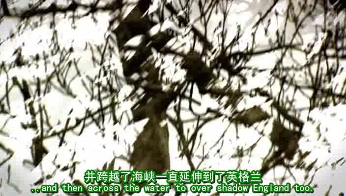 BBC中世纪生活+罗马帝国+诺曼人