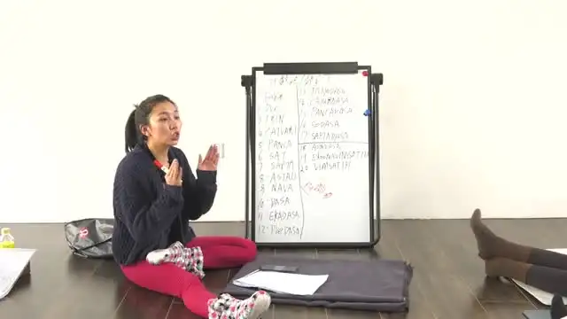 《瑜伽从初级到高级：100节全面教程》