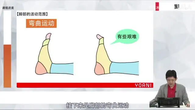 代代木动画学院：零基础角色绘画速成指南