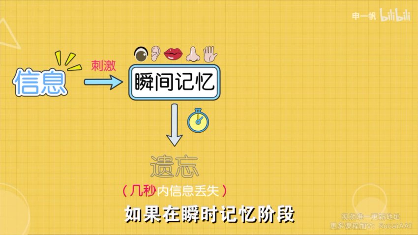 超强记忆力训练：全学科高效提分秘