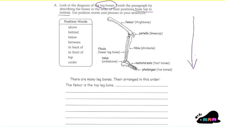 曹文教授英语写作技巧精讲（3-4级）