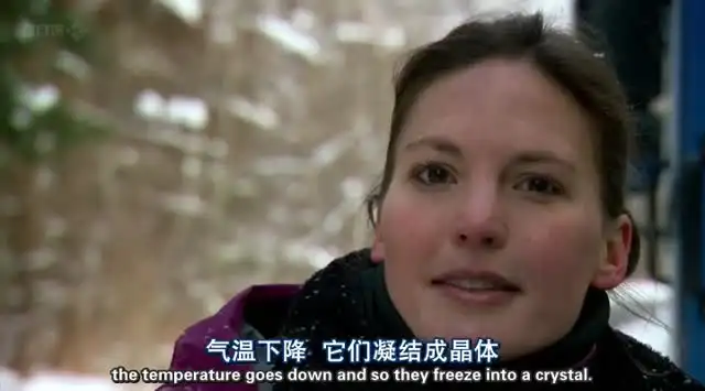 【ZYB】高三全科四季班：冲刺高考必备课程