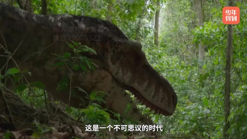 探秘恐龙世界：古生物学习指南