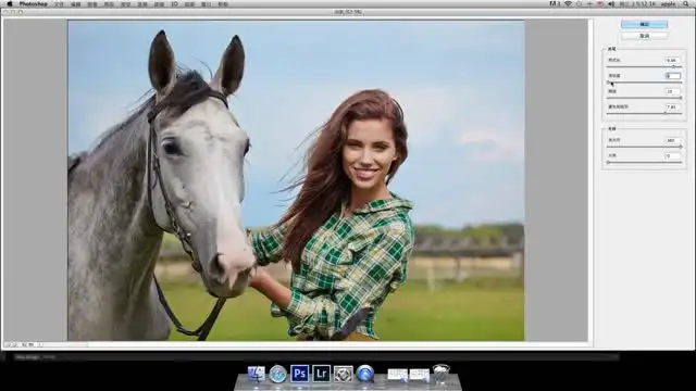 《Becho商业摄影人像精修：多风格进阶教程》