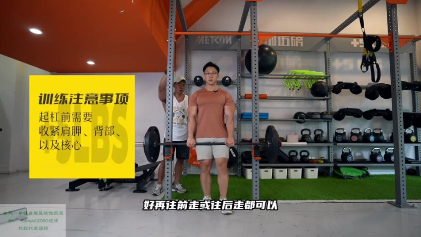 小萝卜四分化增肌训练高阶教程