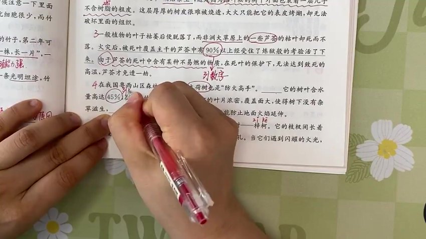 四年级阅读理解61篇精讲：写景·叙