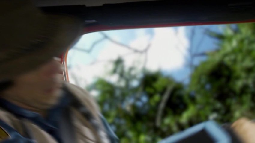 安迪30集水上动物大冒险1080P超