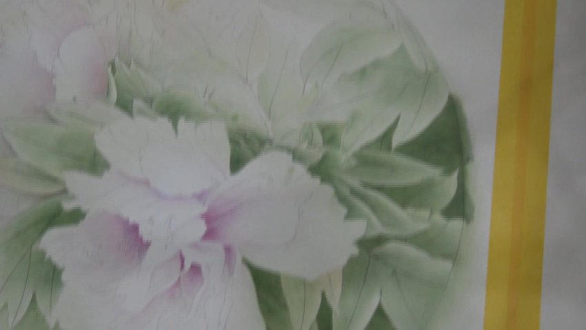 龚雪青工笔牡丹《牡丹小晴》3讲