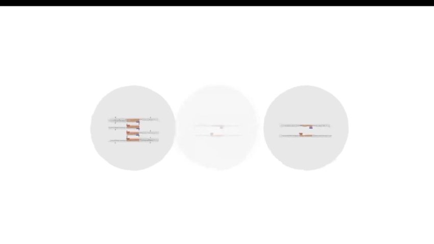 2024高二生物必修课：陈旭晨精讲基