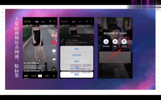 抖音带货从零到百万：小白创业实战指南