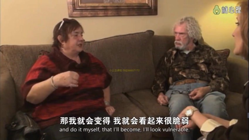 EFT伴侣治疗案例视频教程：深入解析与实操