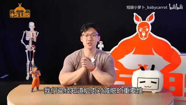 零基础减脂塑形全攻略：男女适用健身课程