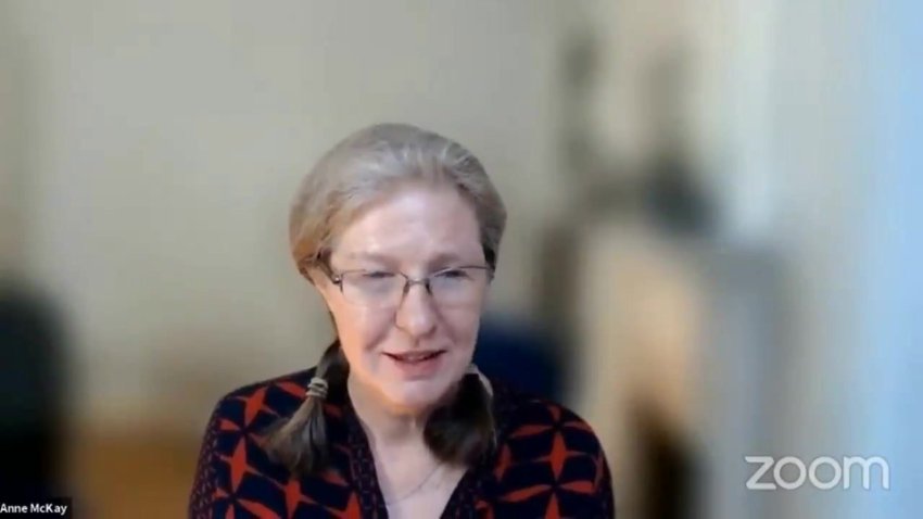 Anne McKay短程心理动力治疗培训