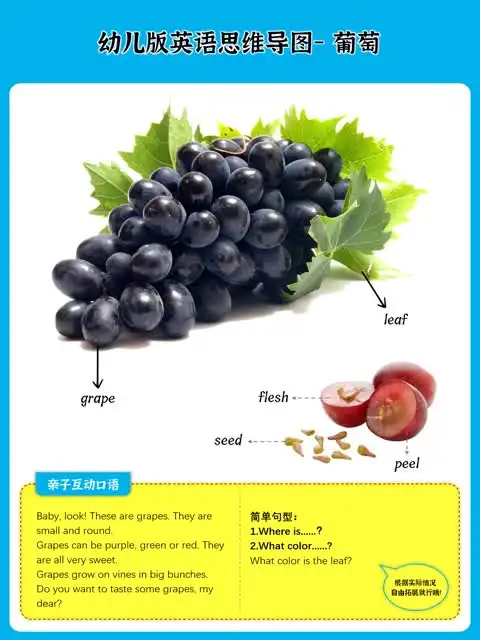 少儿英语启蒙：动物与果蔬思维导图